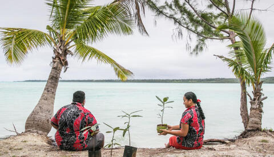 Image of Webinar: Ocean Energy Technologies for Blue Economies in Small Islands and Low-lying Developing States (SIDS)