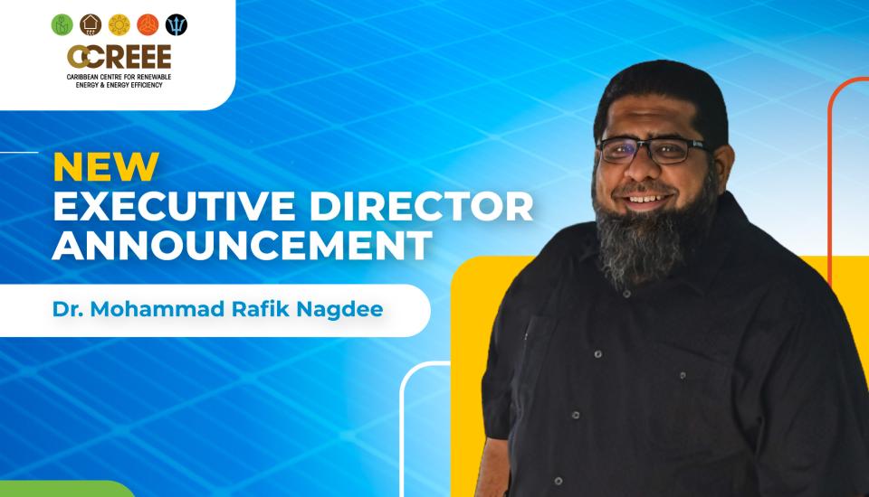 Image of Dr. Mohammad Rafik Nagdee is Appointed as the New Executive Director of The CCREEE