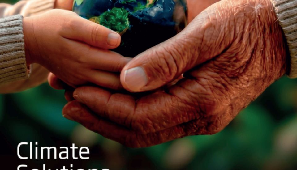 International Vienna Energy and Climate Forum (IVECF)