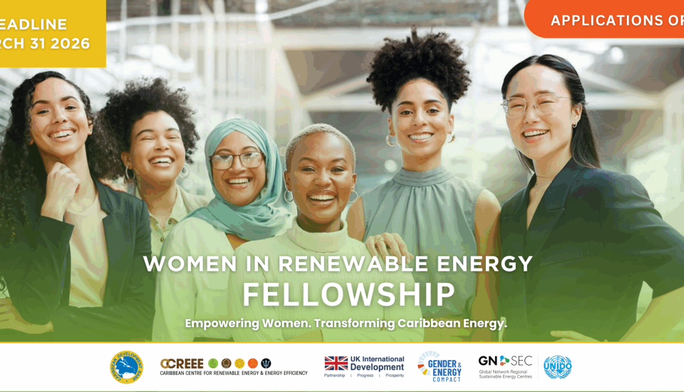 Image of Woman In Renewable Energy Fellowship 2026