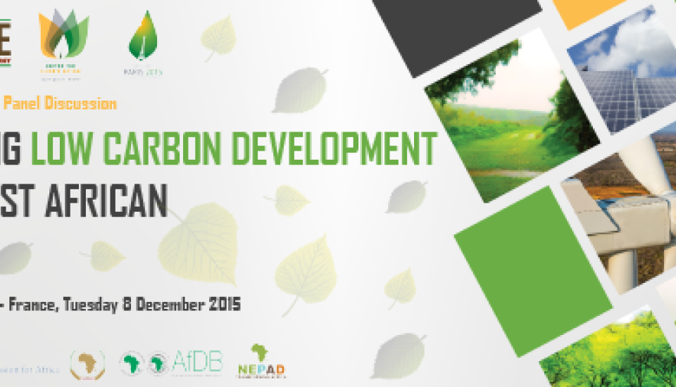 Image of ECREEE COP 21 Side Event - Advancing Low Carbon Development in the West African Region