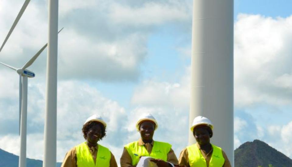 Image of PFAN, ECREEE and CTCN Launch Call for Proposals for Women-led Sustainable Energy Enterprises in West Africa