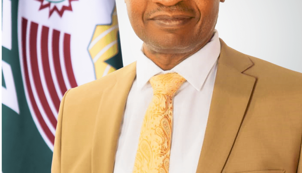 Image of Gibson Okezie Obasi Appointed Executive Director of ECREEE