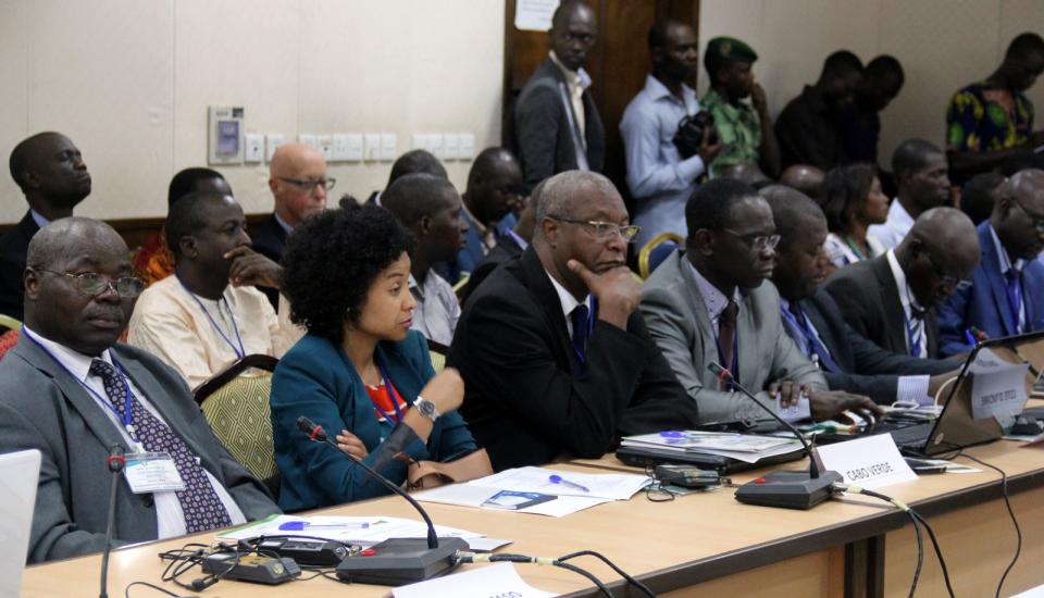 Image of ECOWAS WORKSHOP ON SUSTAINABLE WOOD ENERGY MANAGEMENT OPENS IN COTONOU