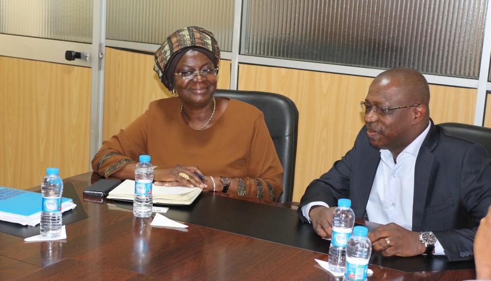 Image of ECOWAS Commissioner Economic Affairs and Agriculture pays a courtesy visit to ECREEE