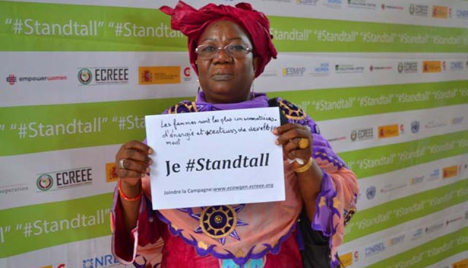 Image of Approaching Energy Access Differently: How West Africa is putting Women’s Interests on the Table