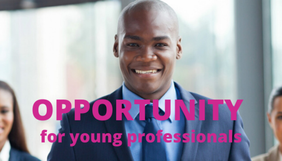 Image of Renewable energy programme launched for young professionals from LDC and SIDS