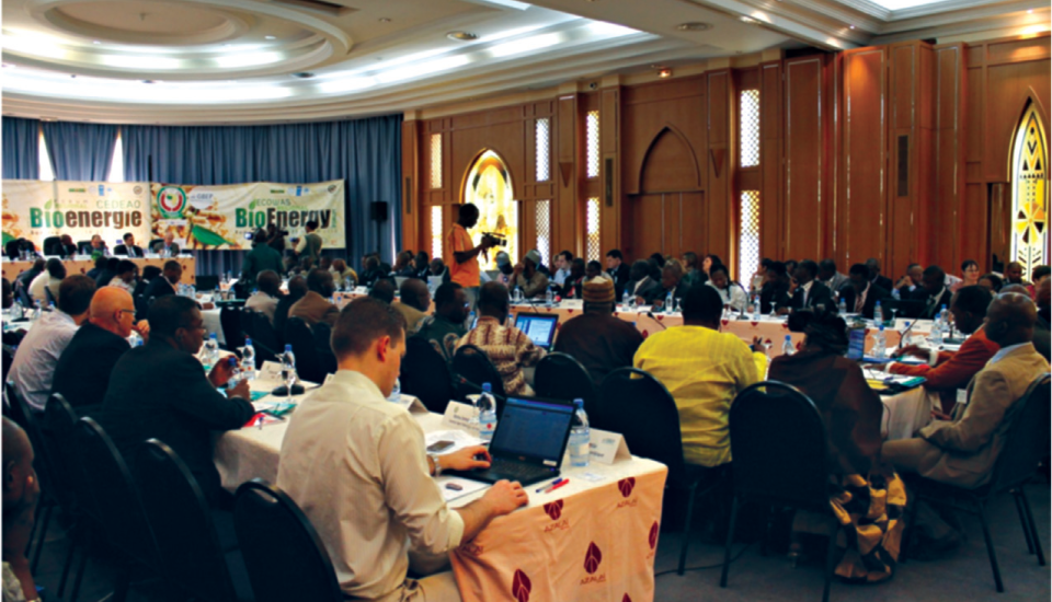 Image of ECOWAS Adopts Strategy to Promote Sustainable Bioenergy Development in West Africa