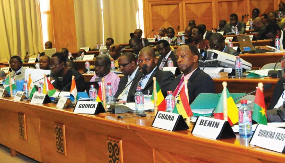 Image of ECOWAS TO DEVELOP MODALITIES FOR IMPLEMENTATION OF RENEWABLE ENERGY PROJECTS IN MEMBER STATES 