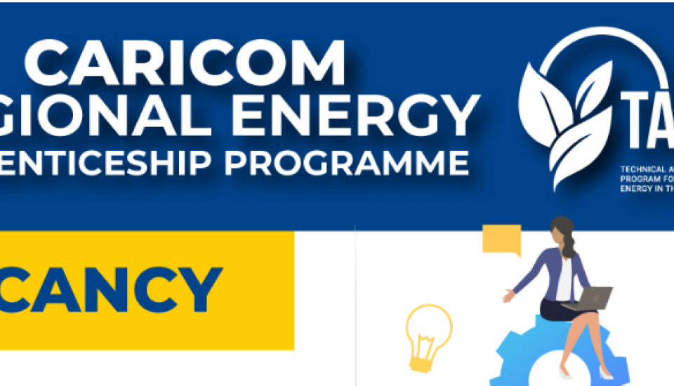 Image of Regional Energy Apprenticeship Programme