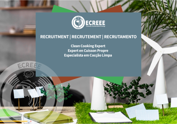 Image of ReCCAWA Annual Planning and Coordination Meeting Advances Regional Energy Cooperation