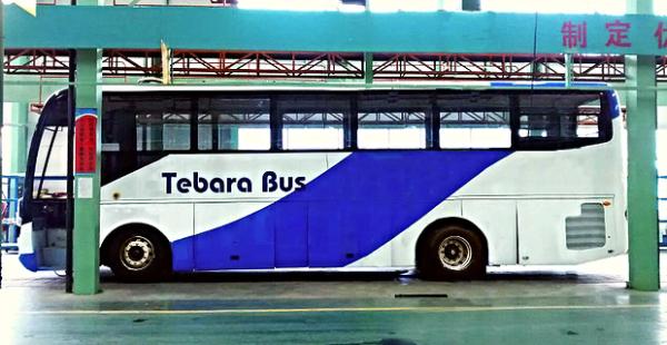 Image of Tebara trying to bring in Electric Buses to Fiji