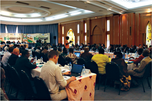 Image of ECOWAS Adopts Strategy to Promote Sustainable Bioenergy Development in West Africa