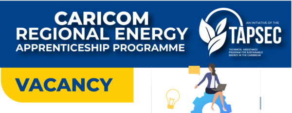 Image of Regional Energy Apprenticeship Programme