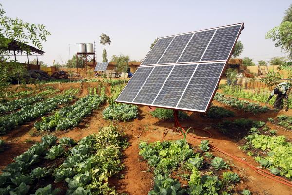 Image of Published Research: Economic Assessment of Large Power Photovoltaic Irrigation Systems in the ECOWAS region