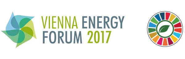 Image of SACREEE is presenting its activities at the Vienna Energy Forum 2017