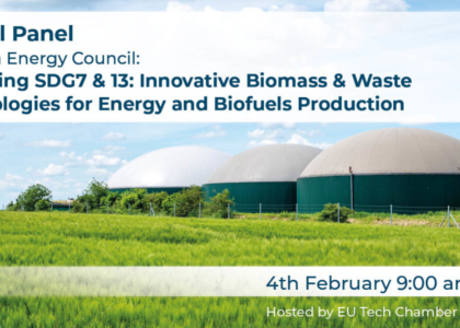 Image of ECREEE PARTICIPATES IN THE EU TECH CHAMBER ENERGY COUNCIL PANEL ON BIOENERGY