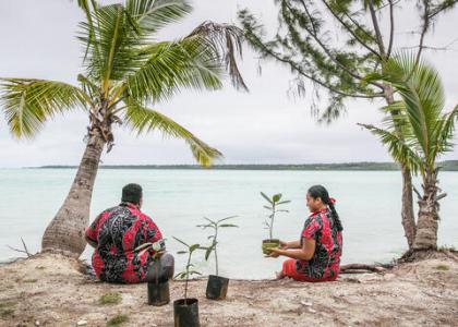 Image of Webinar: Ocean Energy Technologies for Blue Economies in Small Islands and Low-lying Developing States (SIDS)