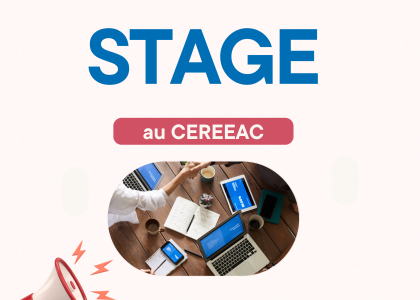 Image of Opportunités de stage au CEREEAC - 2 postes