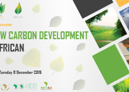 Image of ECREEE COP 21 Side Event - Advancing Low Carbon Development in the West African Region