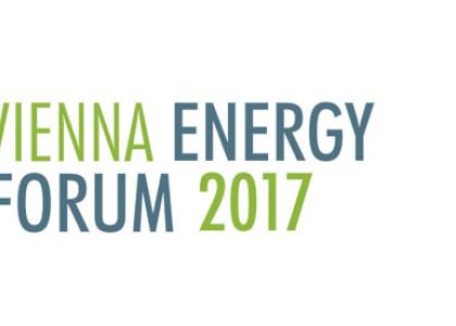 Image of CCREEE at the Vienna Energy Forum