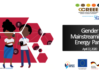 Image of CCREEE Confronts Gender Challenges in the Energy Sector