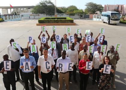 Image of Energy experts launch Global Network of Regional Sustainable Energy Centers to promote inclusive and sustainable energy industries in ACP countries 
