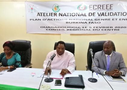 Image of GENDER PROMOTION: THE ENERGY SECTOR VALIDATES ITS ACTION PLAN