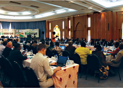 Image of ECOWAS Adopts Strategy to Promote Sustainable Bioenergy Development in West Africa