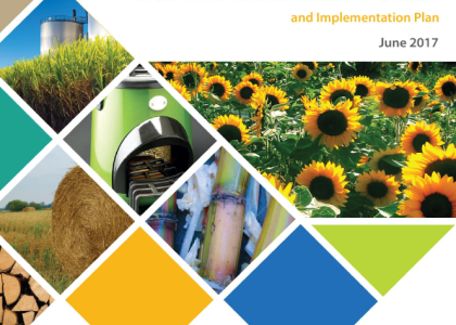 Image of Validation of the National Bioenergy Action Plan of The Gambia