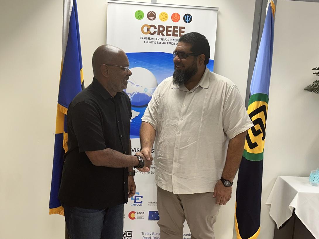 Image of Dr Mohammad Rafik Nagdee Assumes Role as Executive Director of The CCREEE