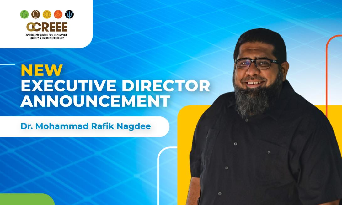 Image of Dr. Mohammad Rafik Nagdee is Appointed as the New Executive Director of The CCREEE