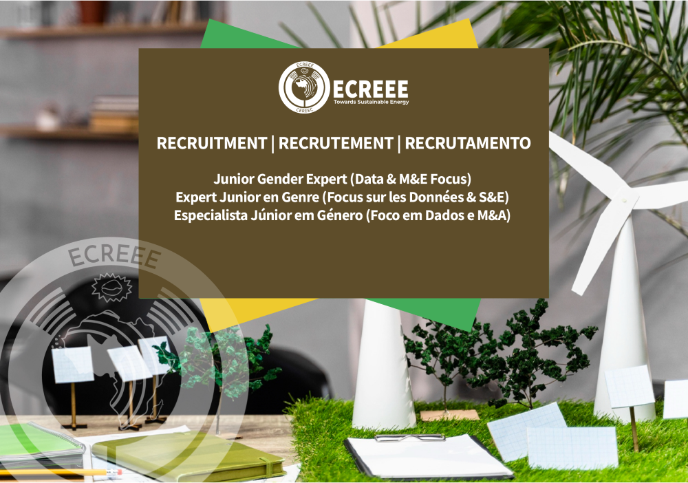 Image of ECREEE participates in ROGEAP regional workshop for West African journalists